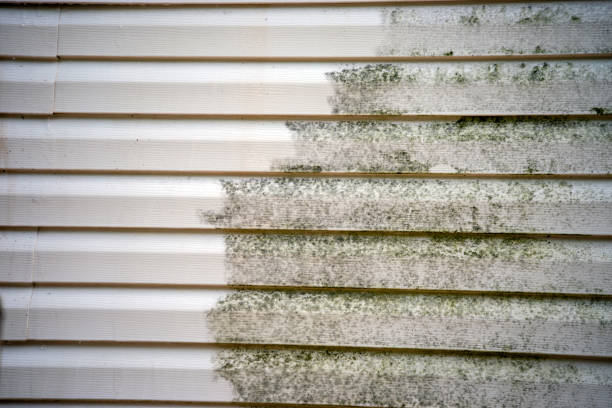 Best Mattress Disposal  in Williamsport, IN